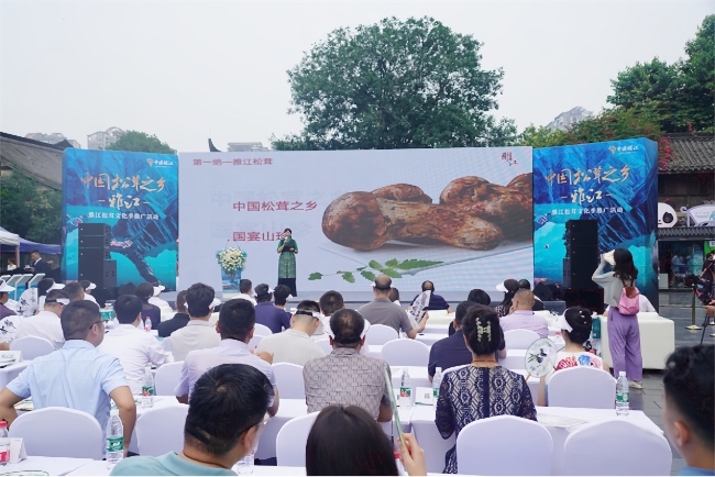 推介会现场。雅江县融媒体中心供图
