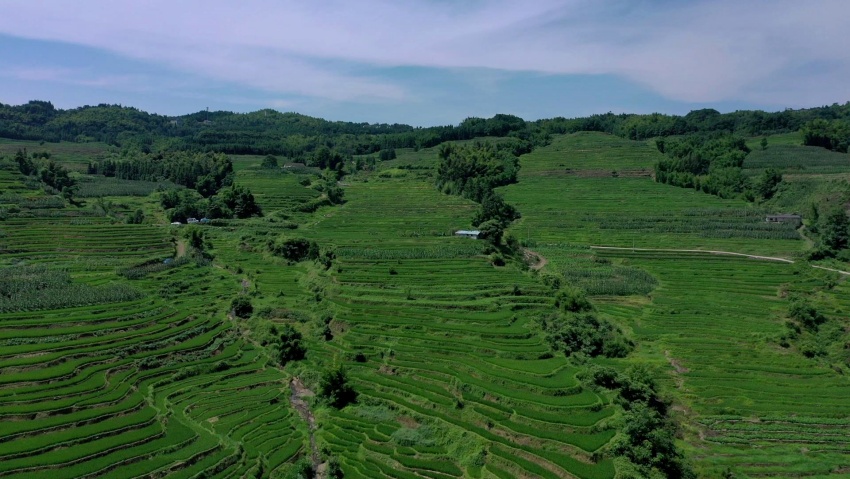 航拍高坎梯田。筠连县融媒体中心供图