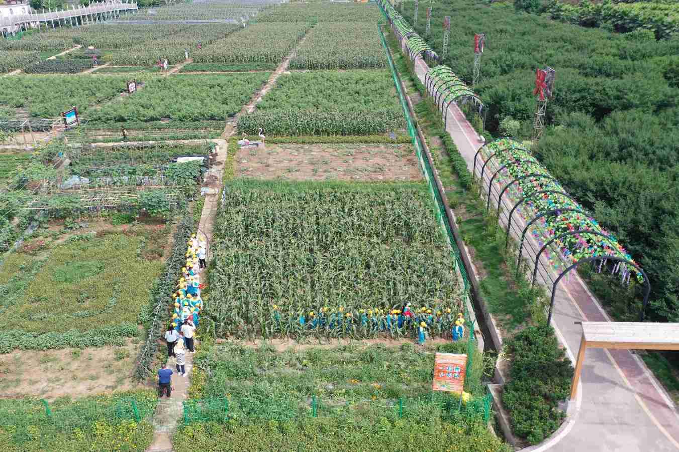 “怡心微田园”采摘体验 雁江区委宣传部供图