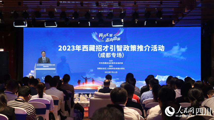2023年西藏招才引智政策推介活動成都專場活動現場。羅怡琳攝