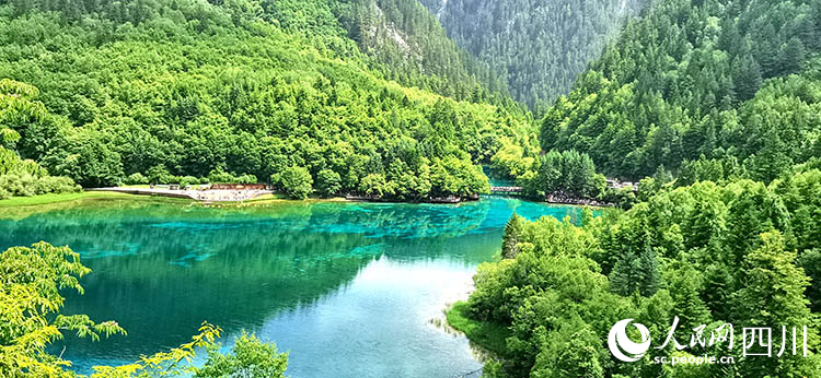 九寨沟景区五花海。何晓燕摄