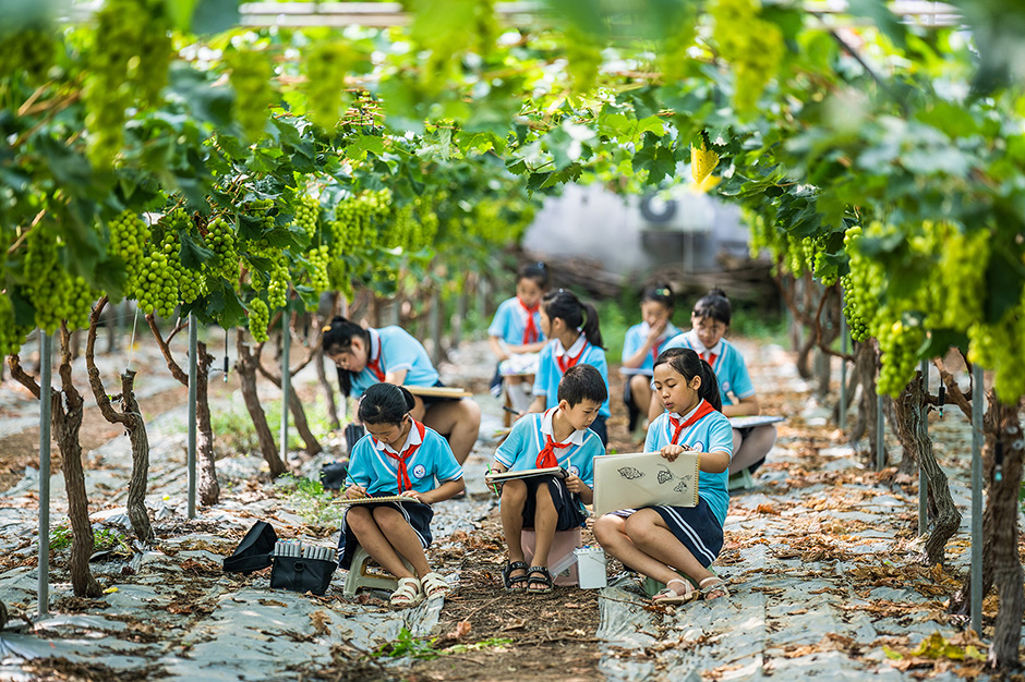 学生在葡萄园写生。翁光建摄