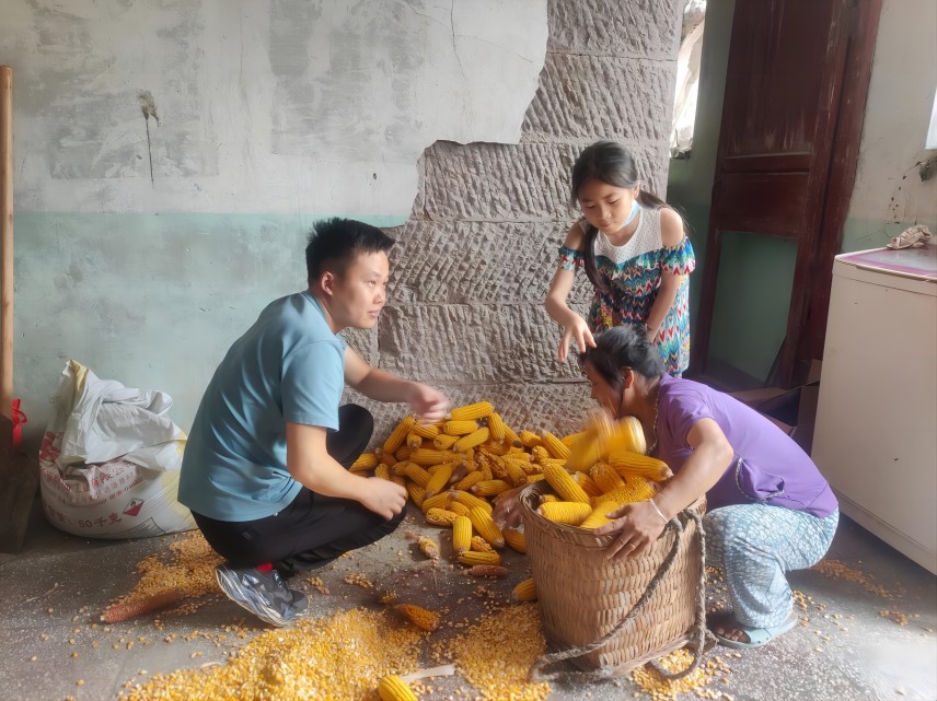 杨喜平正帮助缺乏劳动力的村户收检晒干的玉米。肖雄供图