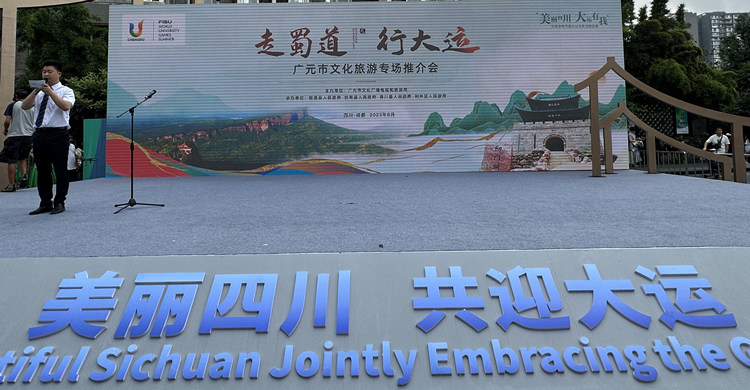 推介会现场。人民网 王凡摄