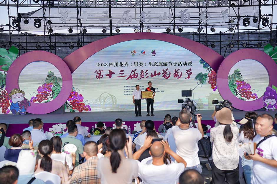 四川果怡农业科技有限公司荣获彭山区2023年度“葡萄果王”。翁光建摄