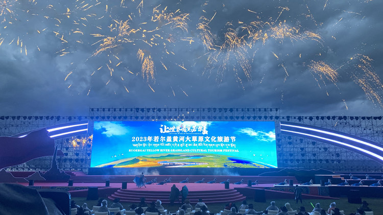 晚会现场。主办方供图