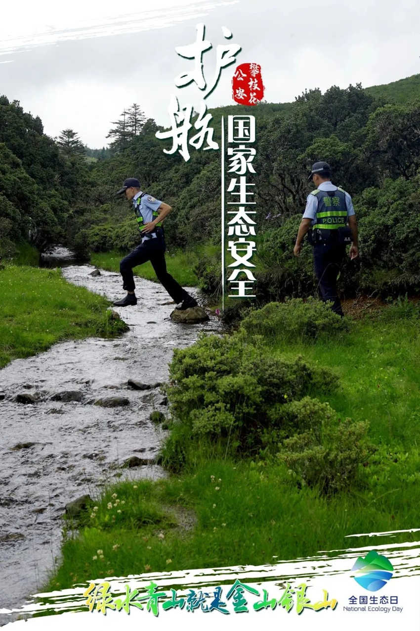 攀枝花公安护航国家生态安全主题海报。攀枝花公安供图