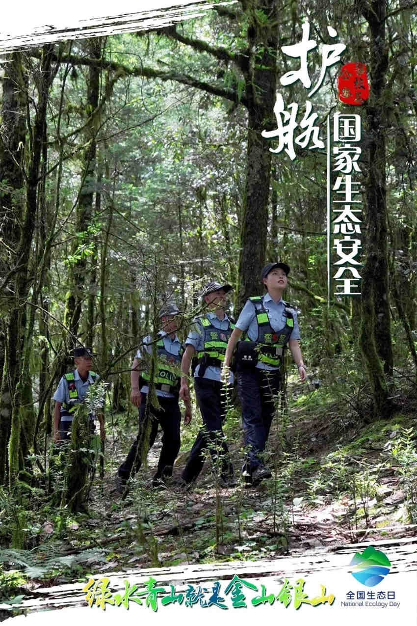 攀枝花公安护航国家生态安全主题海报。攀枝花公安供图