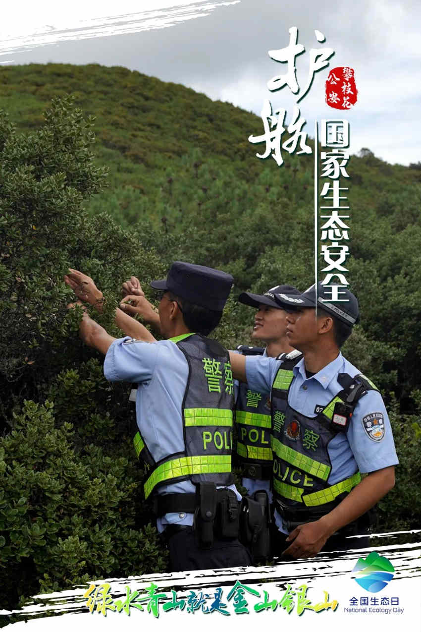 攀枝花公安护航国家生态安全主题海报。攀枝花公安供图