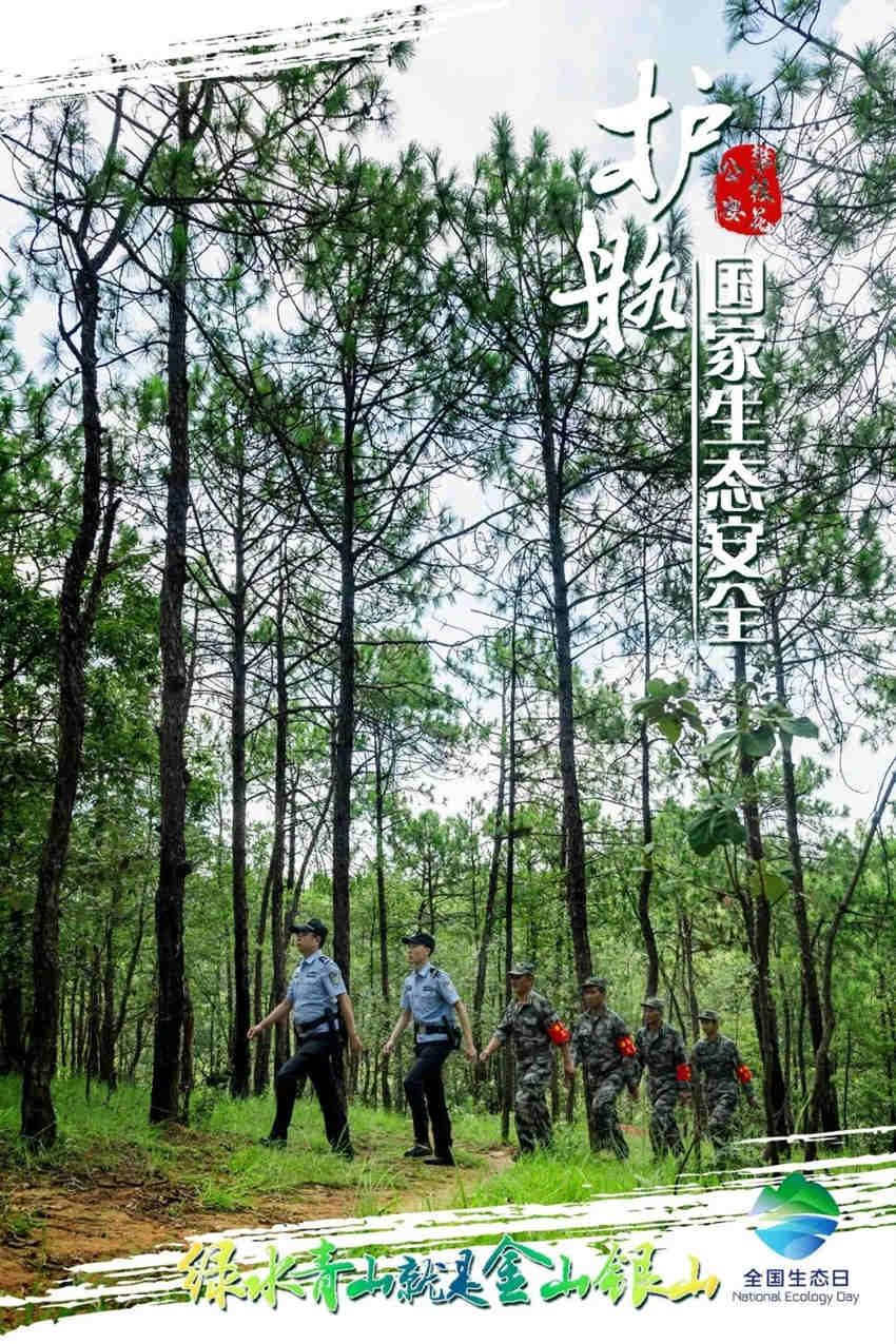 攀枝花公安护航国家生态安全主题海报。攀枝花公安供图