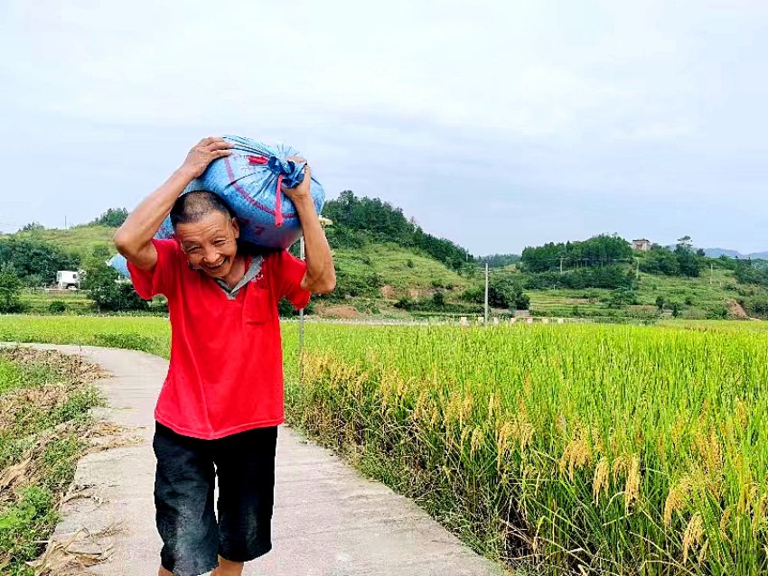村民扛着收割的水稻满脸笑容。宣汉县委宣传部供图