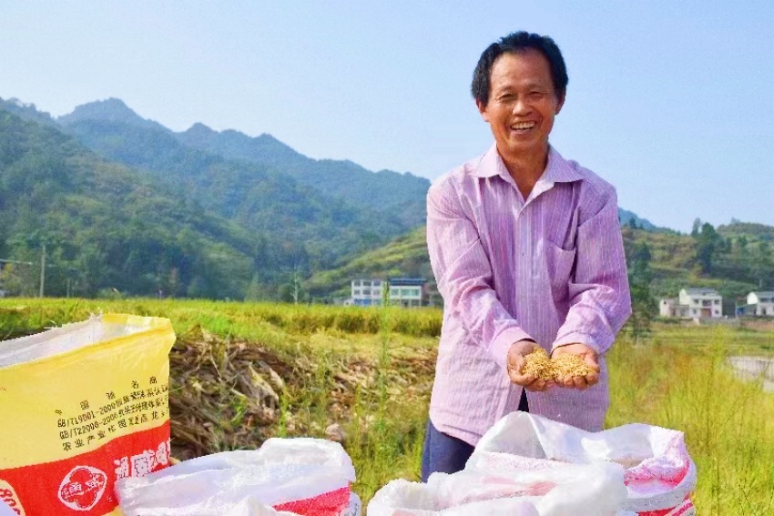 四川省宣汉县塔坝村四组村民桂承东满脸笑容享受丰收的喜悦。宣汉县委宣传部供图