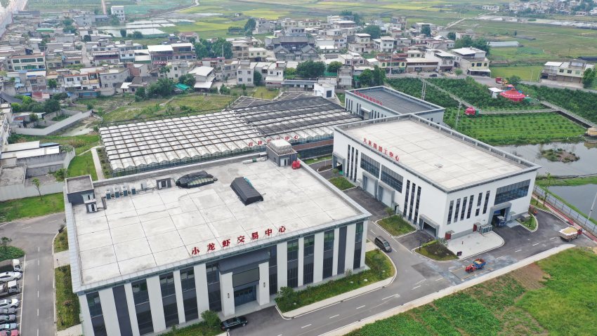 收割的水稻被运往兴文县现代智慧农业园区，然后进行大米精加工。宜宾市广播电视台供图