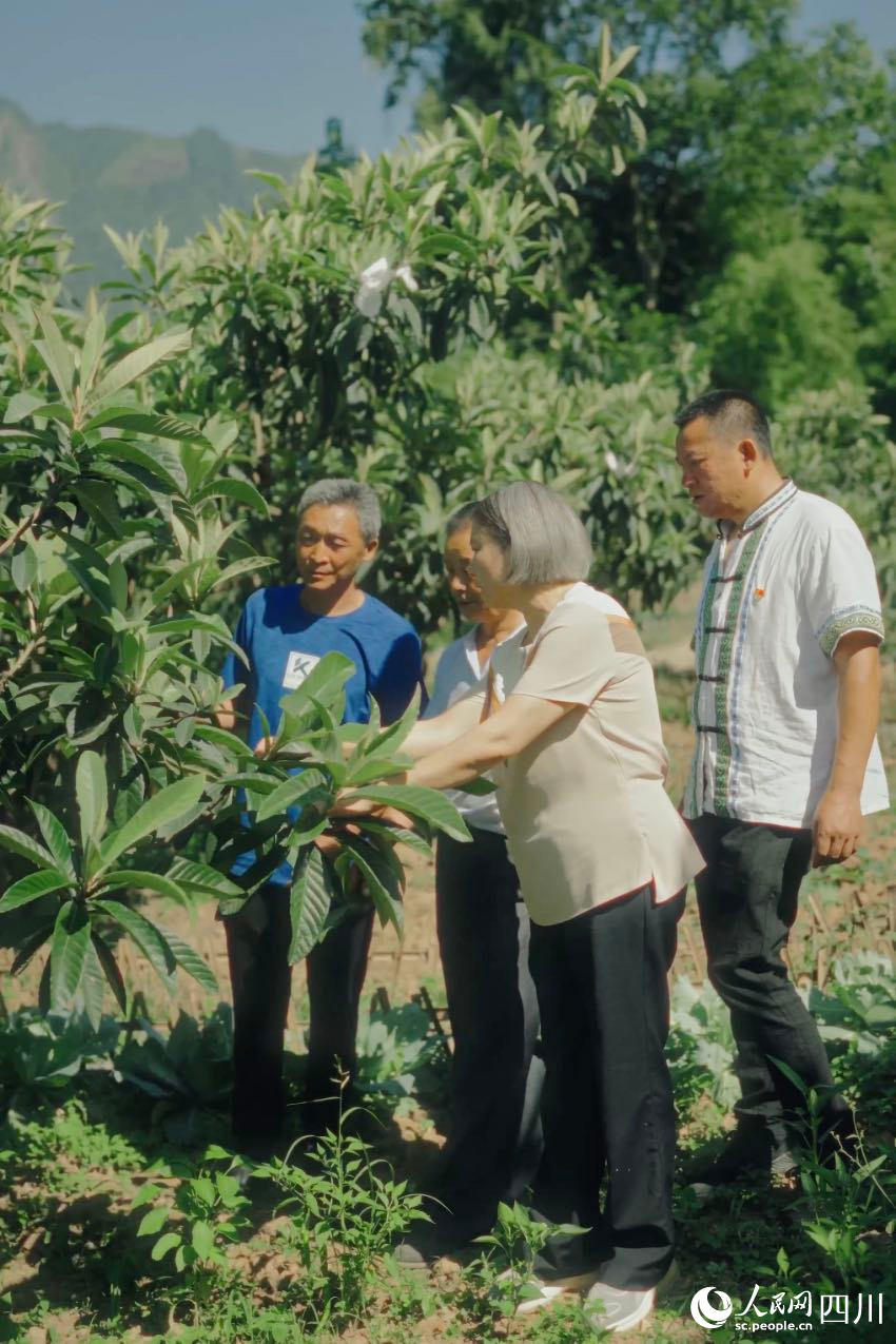 绵阳市农科院研究员任茂琼（前排左一）在果园里，手把手给农户演示如何修枝。人民网记者 张若涵摄