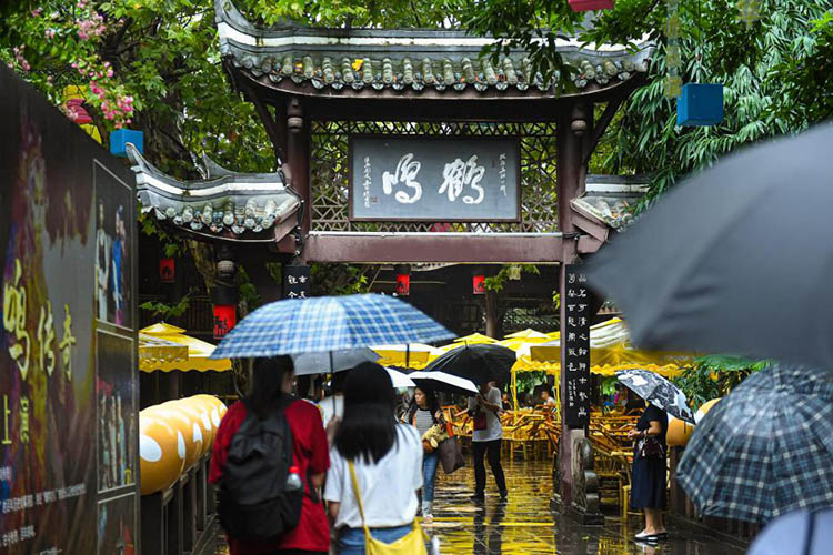 鹤鸣茶社。主办方供图