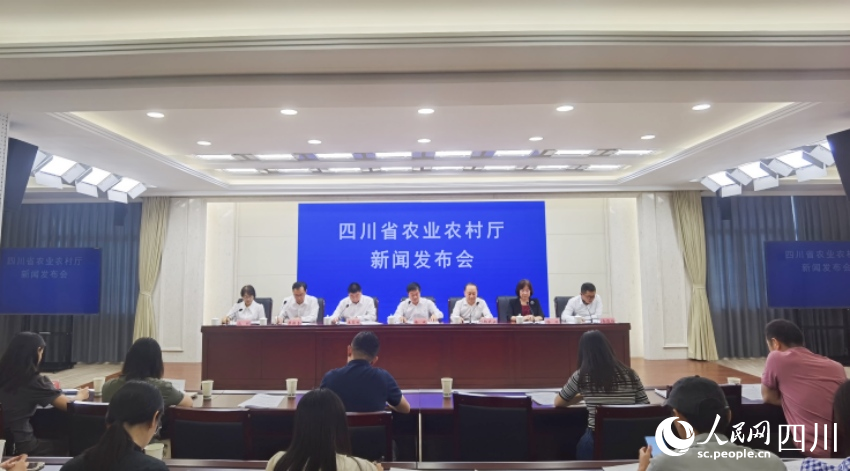 发布会现场。人民网记者 王洪江摄