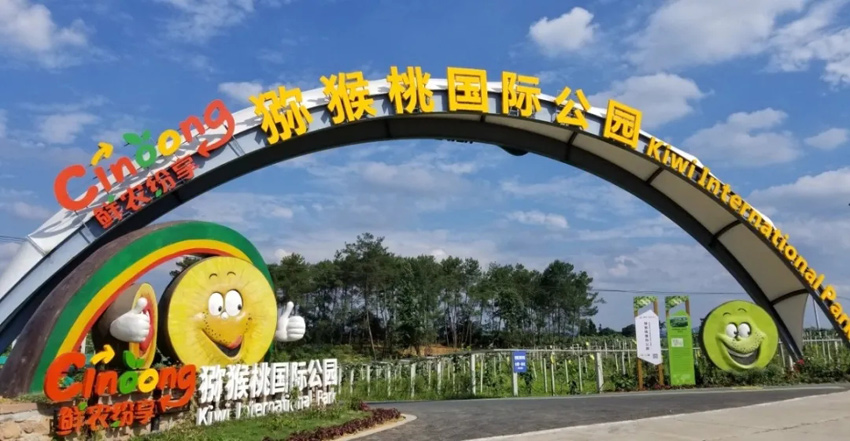 蒲江县大兴镇猕猴桃国际公园。蒲江县委宣传部供图