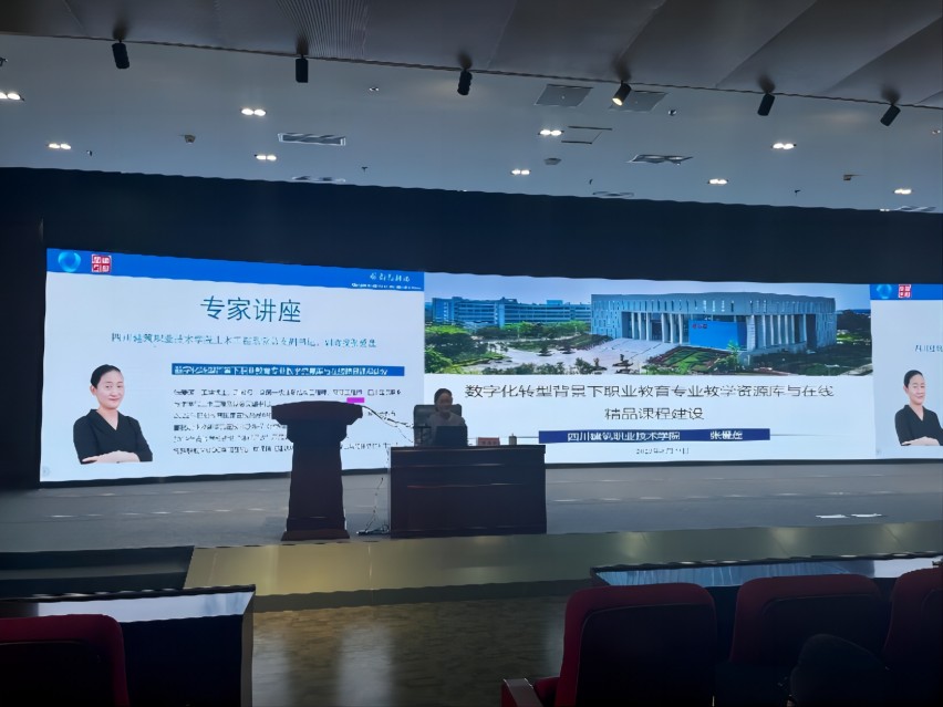 专家讲座。成都市教育科学研究院供图