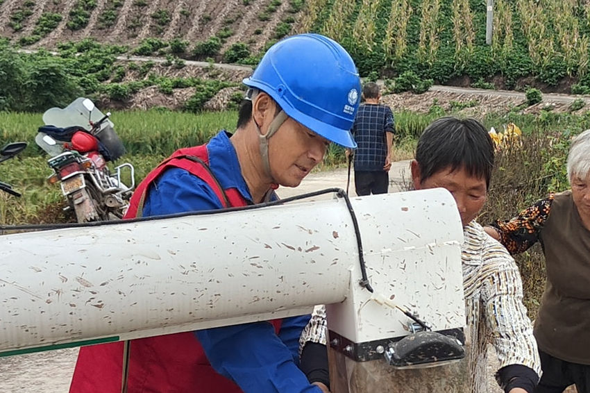 国网内江供电公司组织供电所员工帮助农户抢收水稻。国网内江供电公司供图