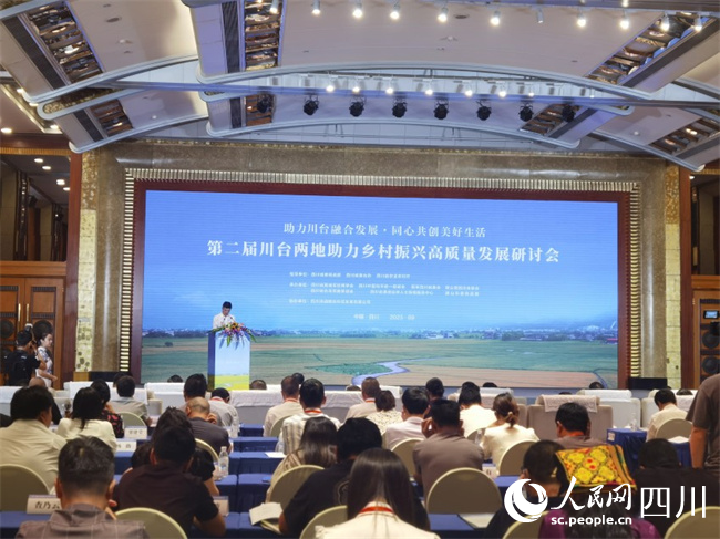 研讨会现场。人民网记者 王洪江摄