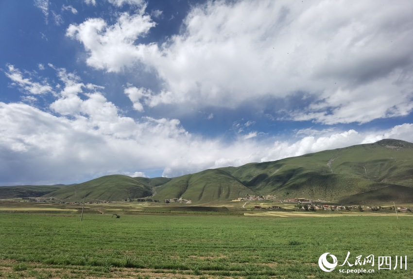 已完成种植工作的甘孜县草种繁育基地。人民网记者 王洪江摄