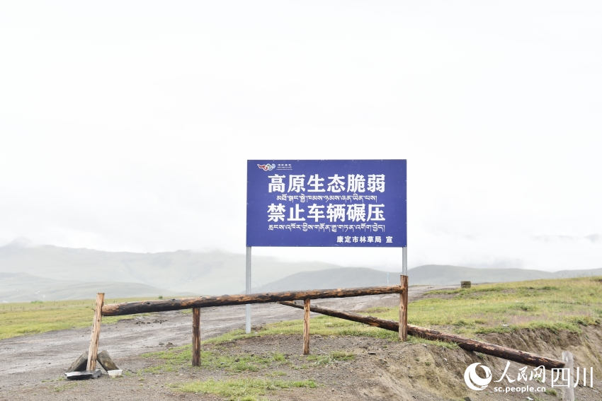 禁止車輛碾壓草原的提示牌。人民網記者 王洪江攝