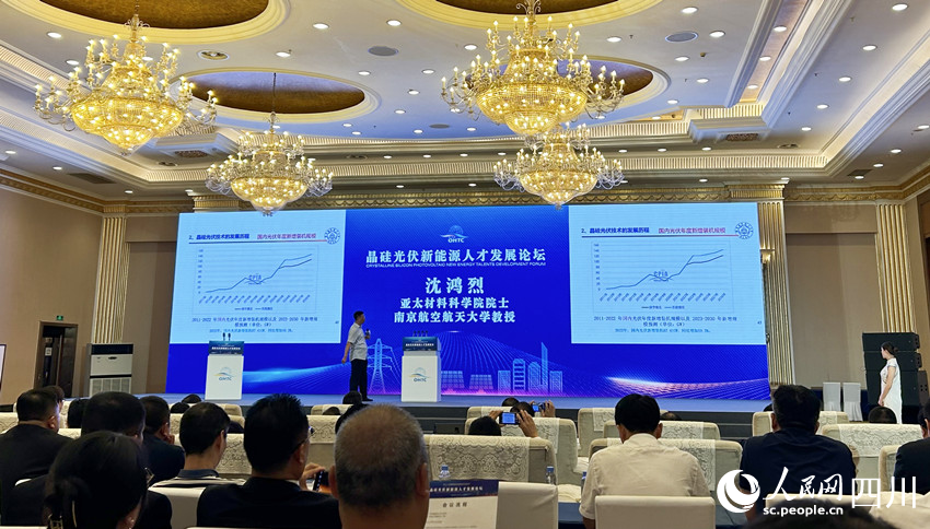 論壇現場。人民網 彭茜攝