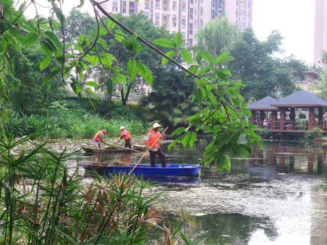 整治中的大观湖。佳宏路社区供图