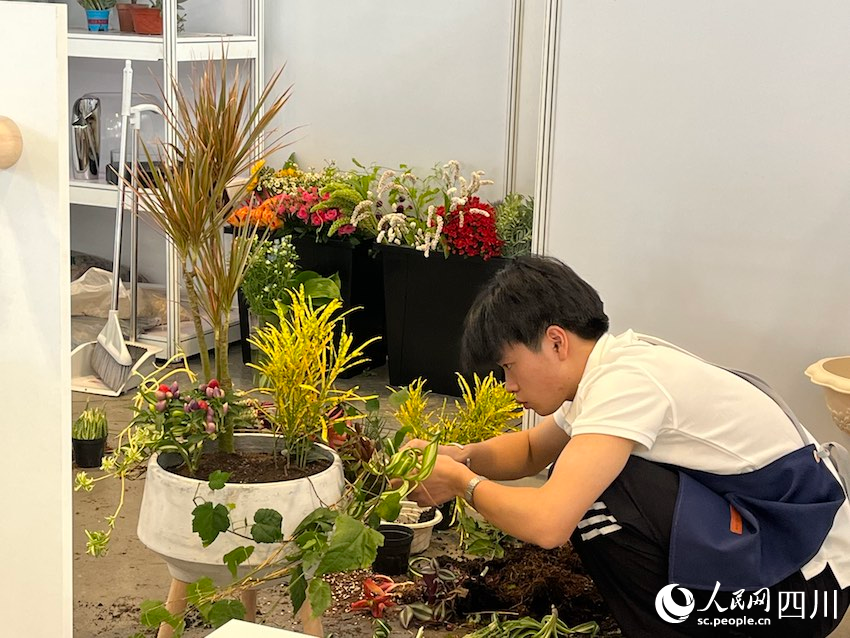 花艺项目，四川团选手王凯正在进行比赛，该项目测试选手在构图、色彩理论、设计理念和技艺方面的综合实力。人民网记者 郭莹摄