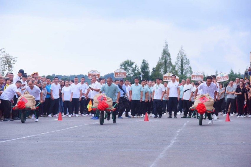 活动现场。洪雅县委宣传部供图