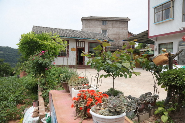 黑池坪村群众花园式的人居环境 马发海供图