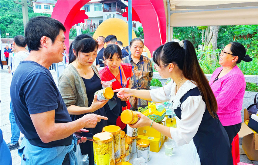 品鑒榮縣特產菊花 榮縣縣委宣傳部供圖