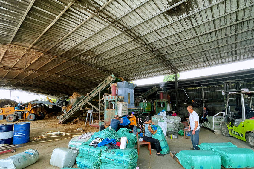 忙碌的加工车间。绵阳市委宣传部供图