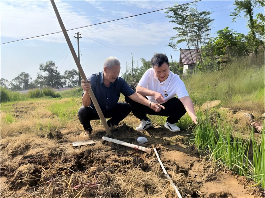 韦浩指导村民种植葱黄。受访者供图