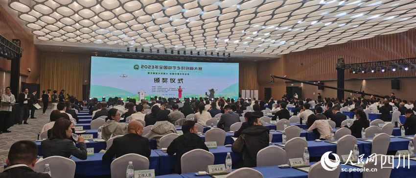 颁奖仪式活动现场 人民网记者 刘海天摄