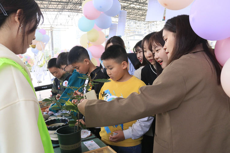 讓孩子了解植物的生長原理。安州區融媒體中心供圖