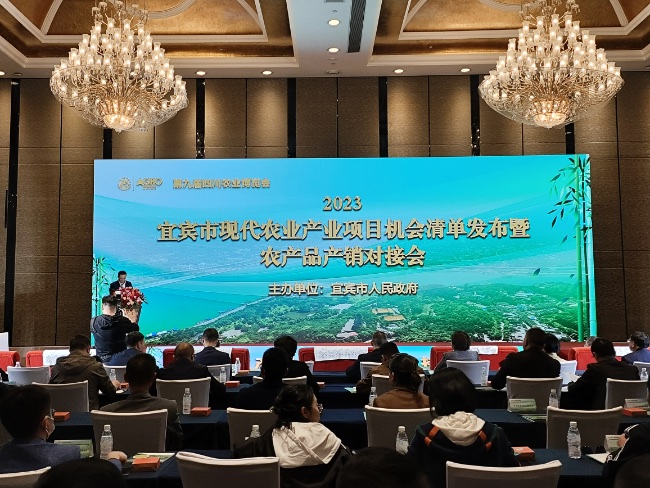 会议现场。主办方供图