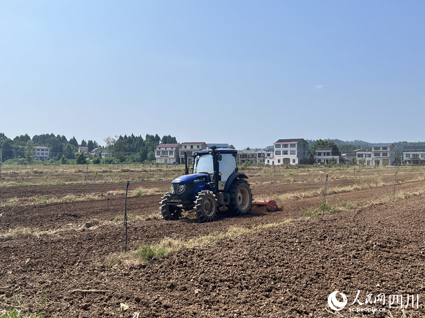 安岳县农帮果蔬种植专业合作社正在翻耕土地。人民网 赵祖乐摄