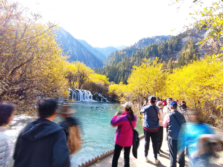 箭竹海瀑布景点。九管局供图