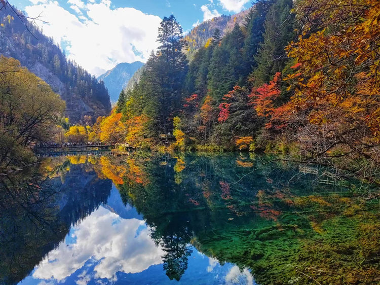 秋季的九寨沟景区一角。九管局供图