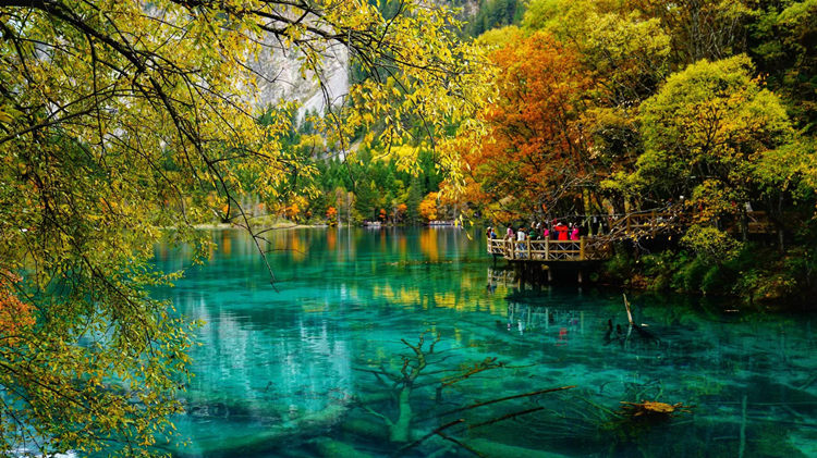 秋季的五花海。九管局供图