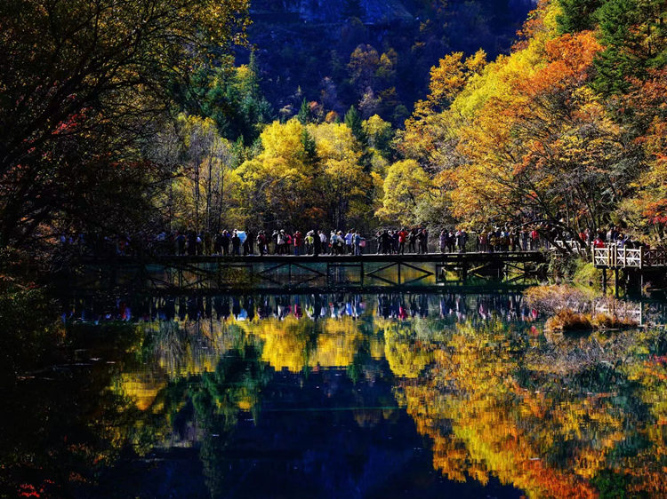 游客在五花海赏景。九管局供图