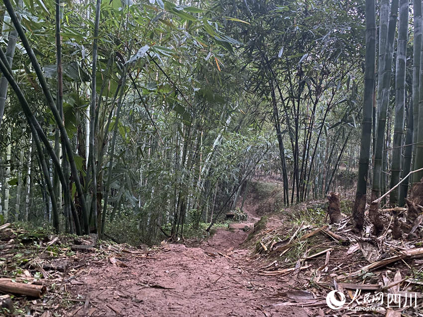 當地持續降雨，山村道路濕滑。人民網 王凡攝