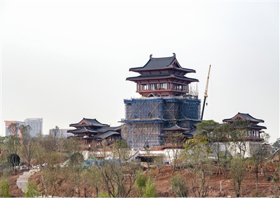 成都世园会主会场建设现场