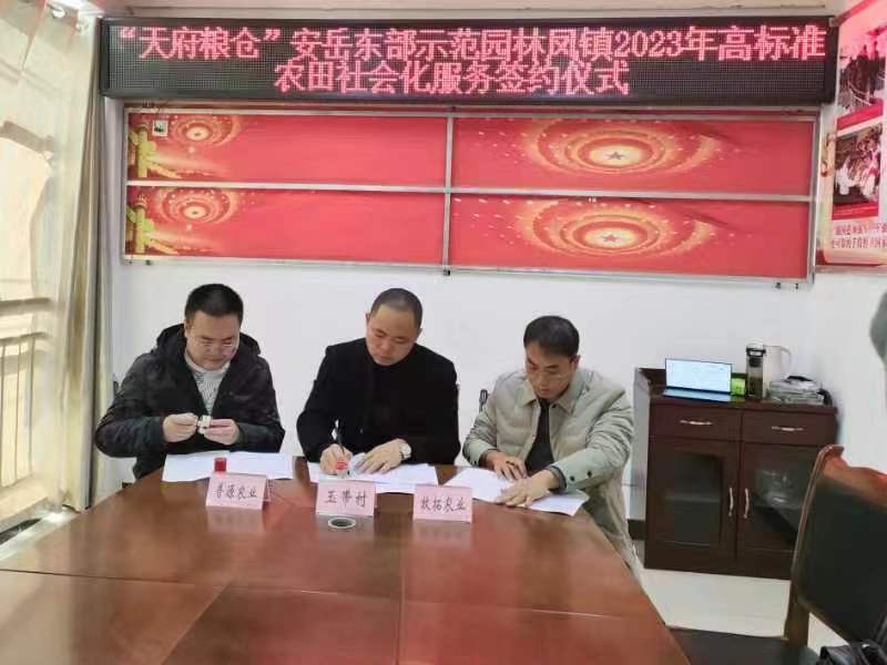 签约仪式现场。安岳县委宣传部供图