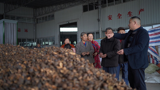 肖志伟介绍油茶果加工车间情况。徐振宇供图