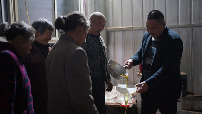 油茶。徐振宇供图
