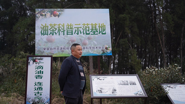 油茶科普示范基地。徐振宇供图