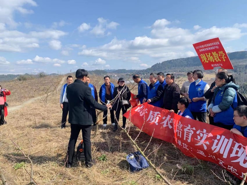 农业专家向村民讲解果树培育知识。达州市通川区人才办供图