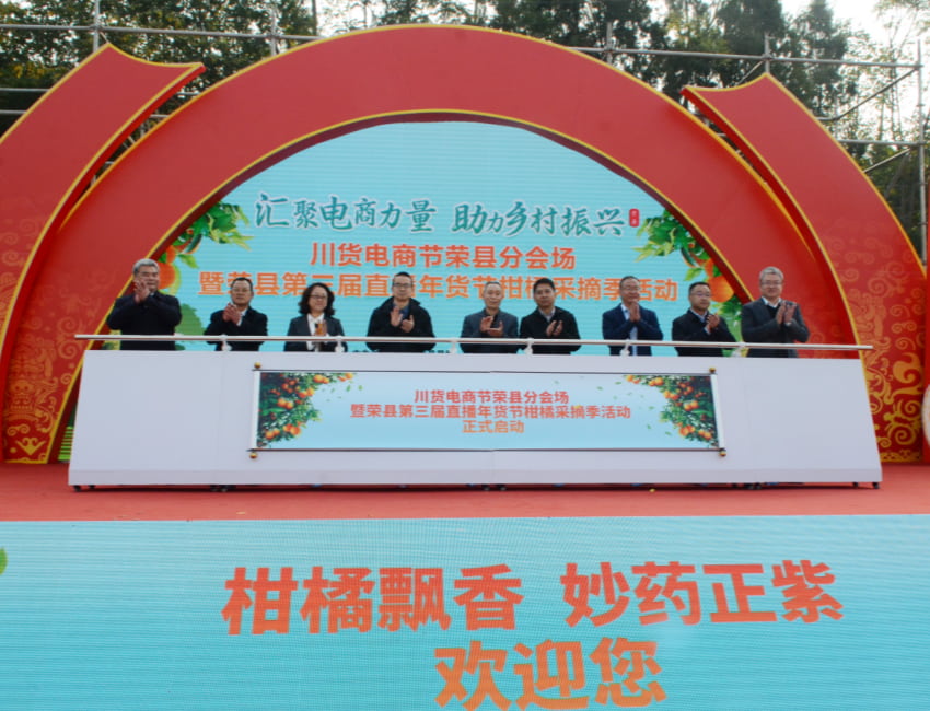 启动仪式。主办方供图